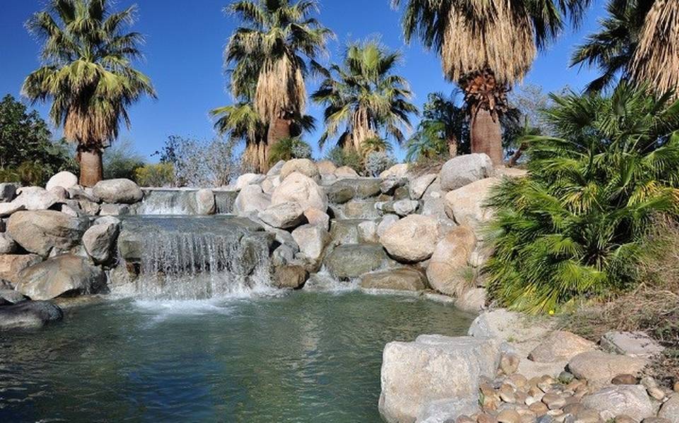 Cataviña en Baja California rodeada de recursos naturales - El Occidental |  Noticias Locales, Policiacas, sobre México, Guadalajara y el Mundo