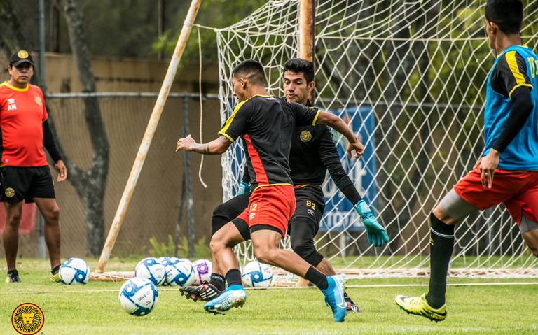 Leones Negros con la mirada en la Liguilla - El Occidental | Noticias  Locales, Policiacas, sobre México, Guadalajara y el Mundo