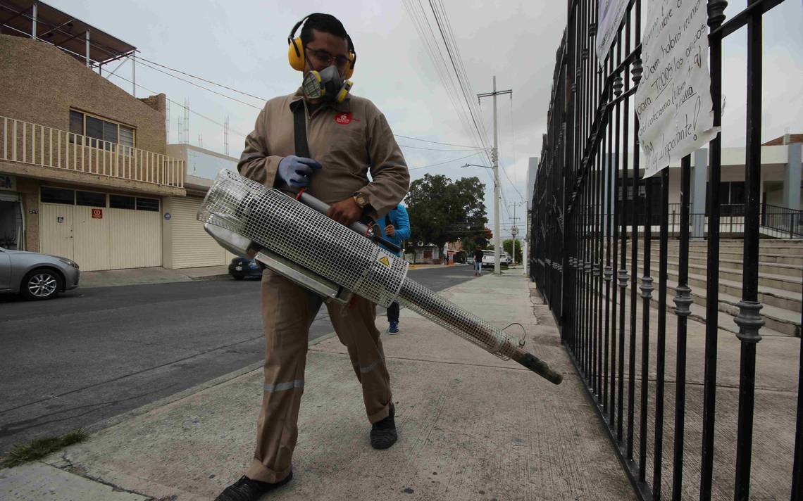 Grave panorama por virus del dengue en Jalisco - El Occidental ...