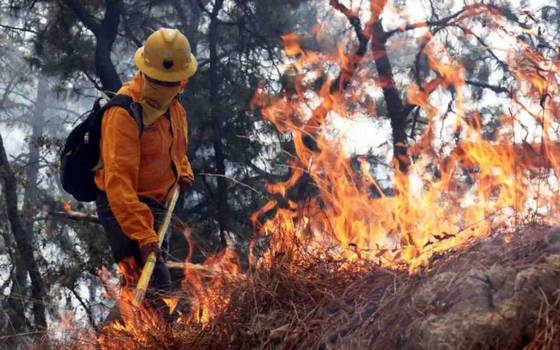 Incendios Forestales Acechan Bosques De Jalisco El Occidental Noticias Locales Policiacas Sobre Mexico Guadalajara Y El Mundo