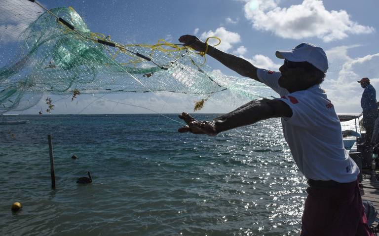 Artículos para pesca en Guadalajara, Jalisco: DE TODO PARA LA PESCA